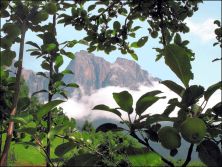 an apple a day.jpg